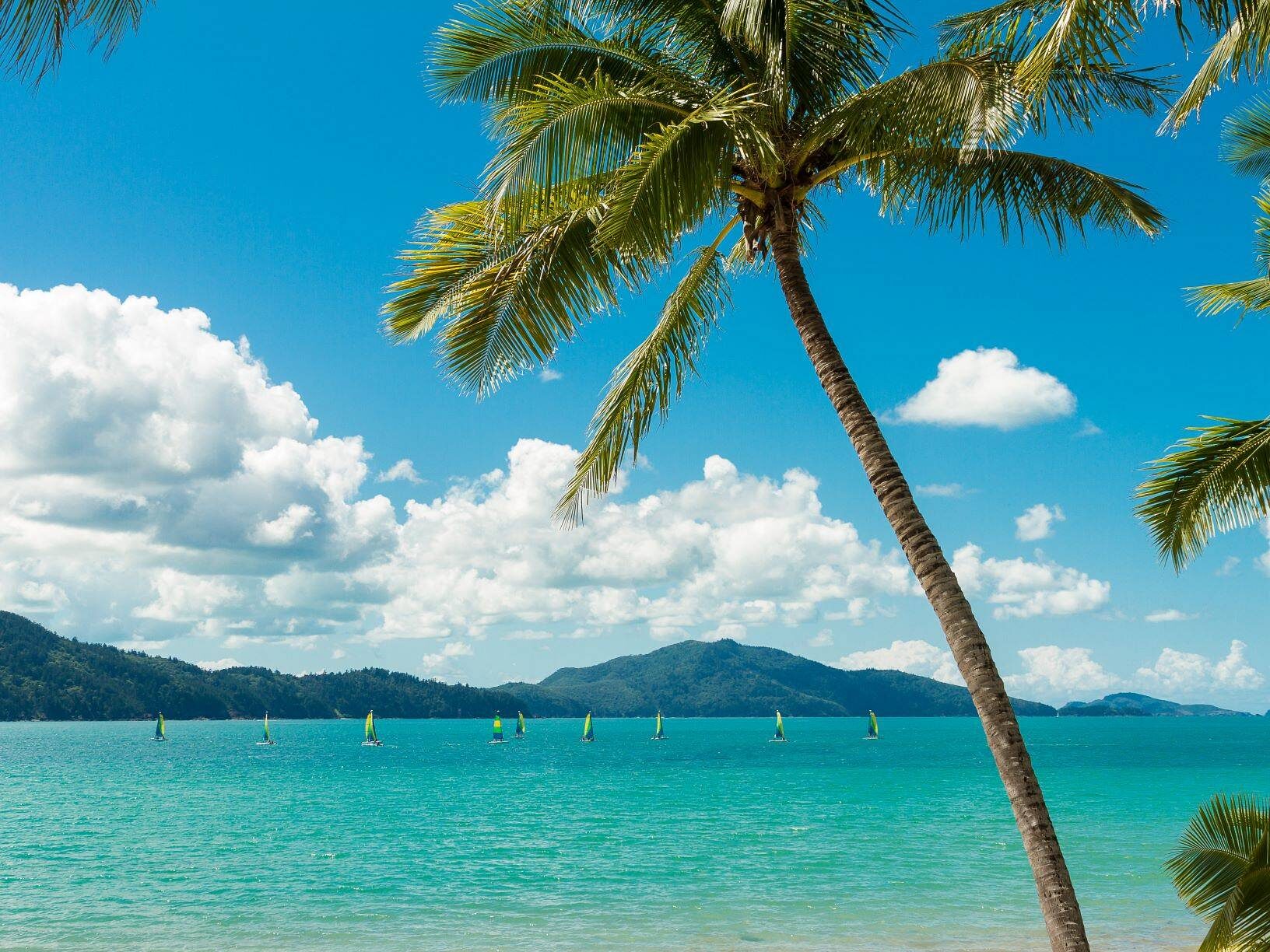Escape the Winter sniffles